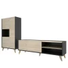 Conjunto salón Cazalilla-1: modulo alto y mueble bajo TV
