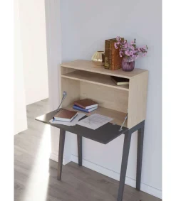 Mesa estudio para colgar Mod-630 acabado roble/grafito, 39 x 75 x 117 cm (fondo x ancho x alto)