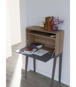 Mesa estudio para colgar Mod-630 acabado nogal/grafito, 39 x 75 x 117 cm (fondo x ancho x alto)