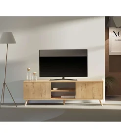 Mesa television Oslo 2 puertas y 2 huecos en acabado color roble gold, 50 cm(alto)160 cm(ancho)40 cm(largo)