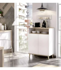 Mueble auxiliar Villarodrigo 2 puertas y 1 hueco 102cm(alto)80cm(ancho)40 cm(largo)