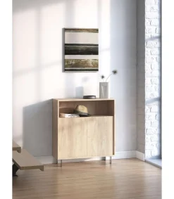 Mueble auxiliar/zapatero Md-509 con puertas acabado en roble, 89cm(alto) 80cm(ancho) 29cm(prof.)