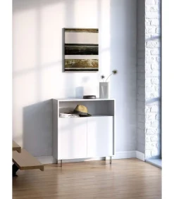 Mueble auxiliar/zapatero Md-509 con puertas acabado blanco, 89cm(alto) 80cm(ancho) 29cm(prof.)