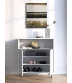 Mueble auxiliar/zapatero Md-509 con puertas acabado blanco, 89cm(alto) 80cm(ancho) 29cm(prof.)
