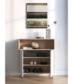 Mueble auxiliar/zapatero Md-509 con puertas acabado roble/blanco, 89cm(alto) 80cm(ancho) 29cm(prof.)