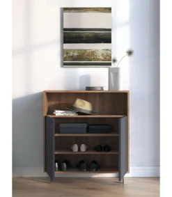 Mueble auxiliar/zapatero Md-509 con puertas acabado nogal/grafito, 89cm(alto) 80cm(ancho) 29cm(prof.)