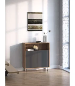 Mueble auxiliar/zapatero Md-509 con puertas acabado nogal/grafito, 89cm(alto) 80cm(ancho) 29cm(prof.)