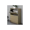 Mueble Zapatero Manila con 2 trampones en roble. 60 cm(ancho) 81.6 cm(altura) 25 cm(fondo)